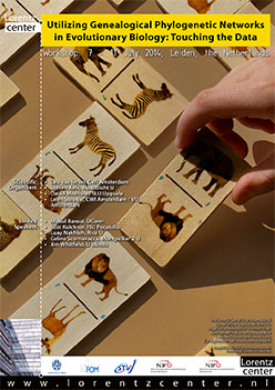 Utilizing Genealogical Phylogenetic Networks in Evolutionary Biology: Touching the Data