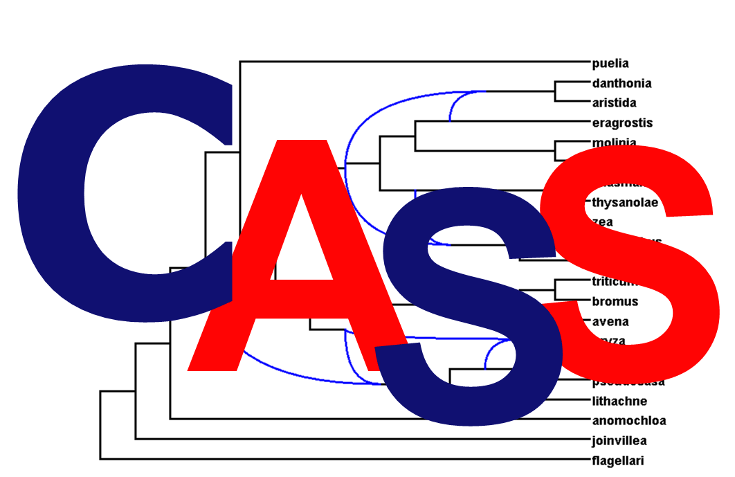 Cass logo